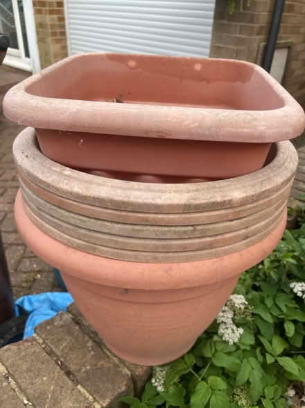 Photo of free Large plant pots (Wainscott) #1