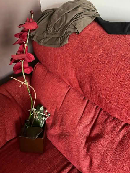 Photo of free Fake plant (Ipswich IP2) #1