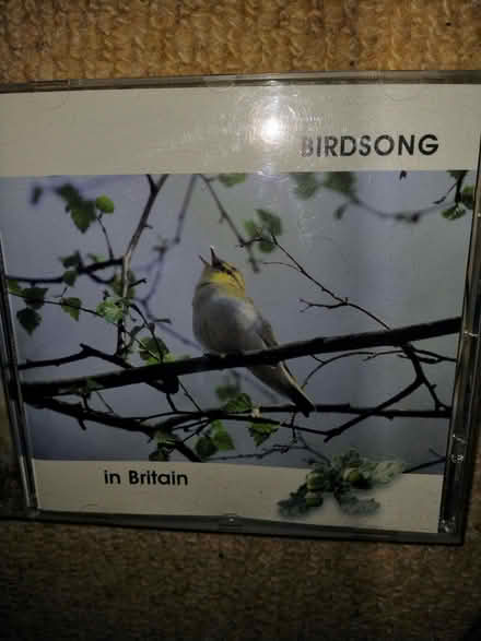 Photo of free Birdsong in Britain CD (Lakenham NR1) #2