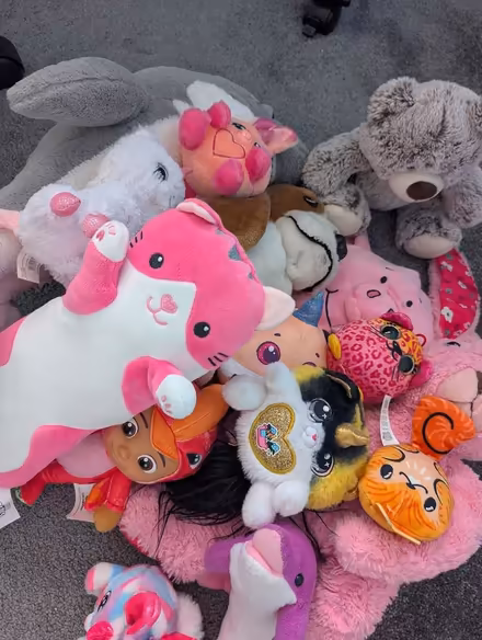 Photo of free Teddies (WN6 shevington) #1