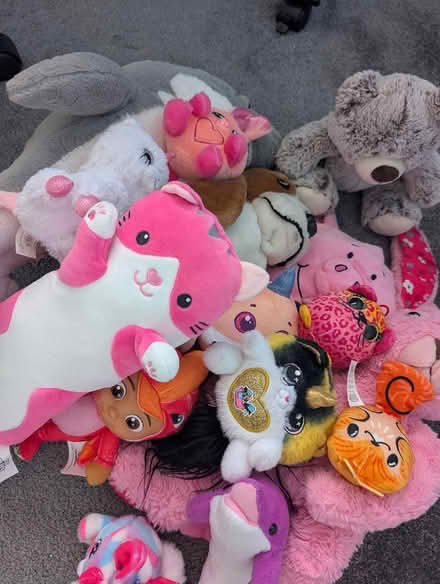 Photo of free Teddies (WN6 shevington) #1