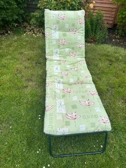 Photo of free Garden longer (Comely Bank EH4) #1