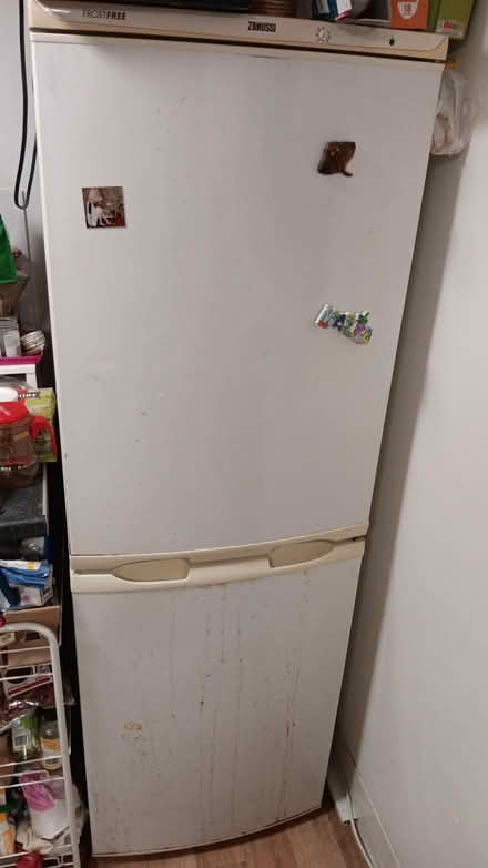 Photo of free Fridge freezer (Seven Dials BN1) #1