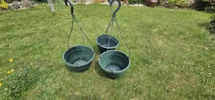 Photo of free Hanging baskets (Horsham, RH13) #1