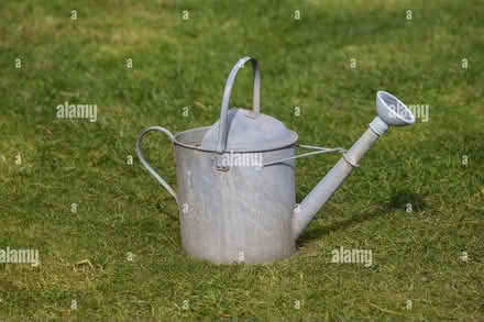 Photo of Metal watering can with 'rose' attachment like the photo (Kingsmead) #1