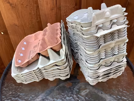 Photo of free Egg cartons (Waldridge Park DH2) #1