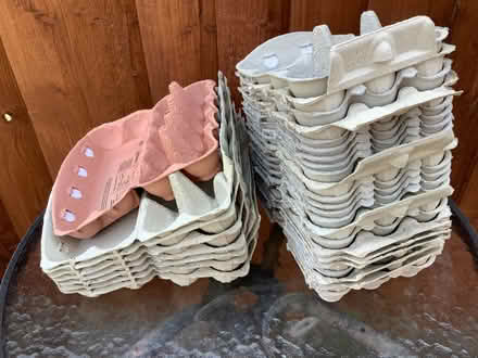 Photo of free Egg cartons (Waldridge Park DH2) #1