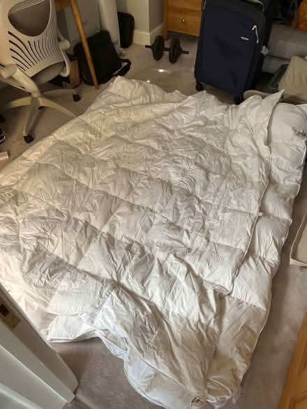 Photo of free Matress topper (Petts Wood BR5) #2