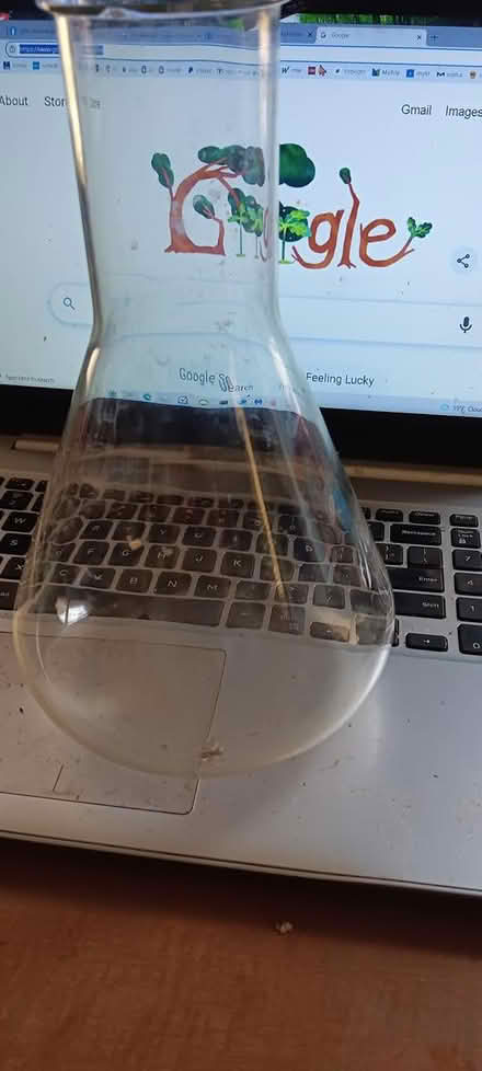 Photo of free 1500 and 500 ml erlenmeyer flasks (melrose) #2