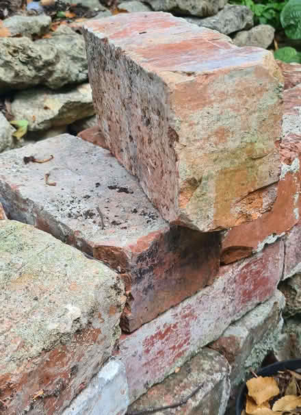 Photo of free Old solid bricks (Thrupp GL5) #1