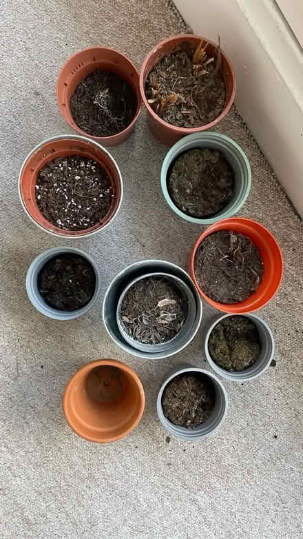 Photo of free plant pots job lot (Redland) #2