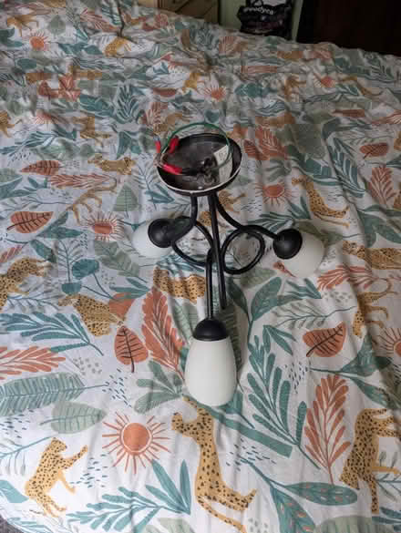 Photo of free Ceiling light (Sheffield S12) #1