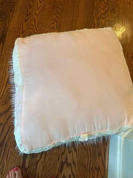Photo of free Pink pillow seat (Wildwood Bethesda, md) #2