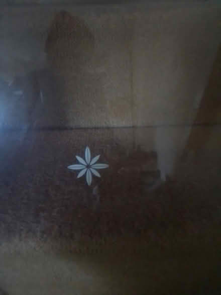 Photo of free Pane of glass 36cm x 61cm (Biggleswade) #1