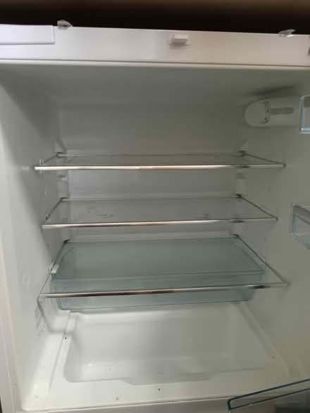 Photo of free Bish under counter fridge (SW15 Putney Vale) #3
