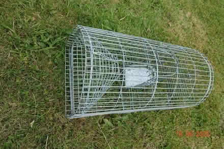 Photo of free Humane Rat Trap (Pen-y-stryt LL11) #1