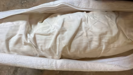 Photo of free Two White Cotton Sofa Cushions (PL1) #1
