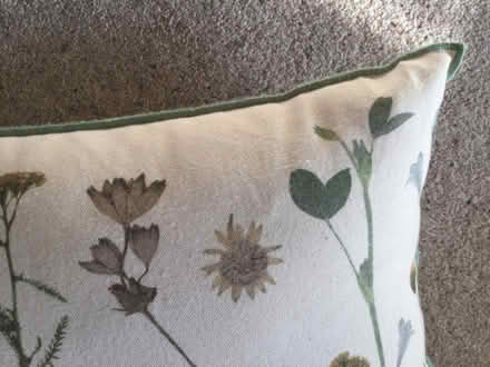 Photo of free Pair of cushions, ex Habitat (Cox Green SL6) #2