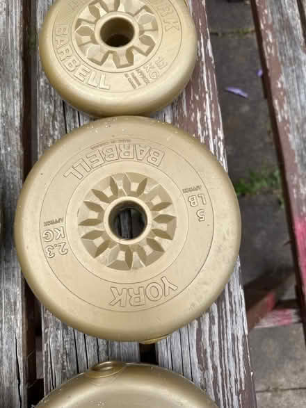Photo of free Free weights no bar (Thurmaston LE4) #2