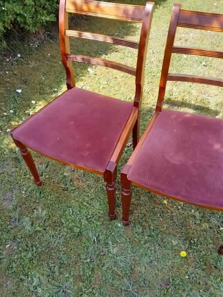 Photo of free Dining chairs (Lowestoft NR32) #1