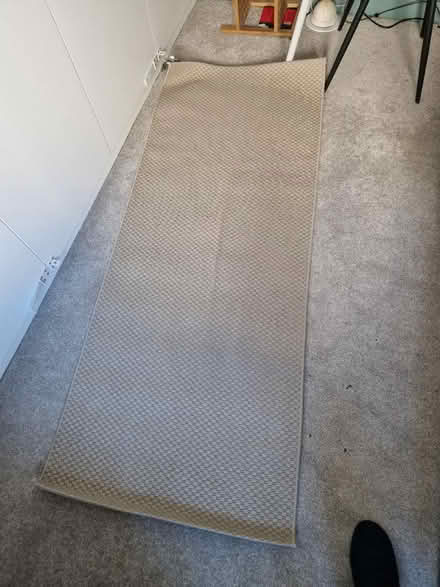 Photo of free IKEA Rug (bn3 1bb) #1