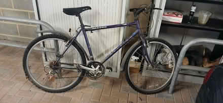 Photo of free Mountain bike (Newbury racecourse. RG14) #1