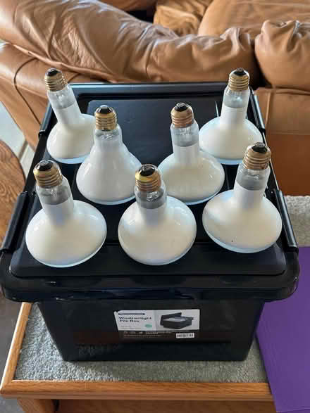 Photo of free Bulbs/ 7-Incandescent-7 Florescent (Westminster, CO 80031) #1