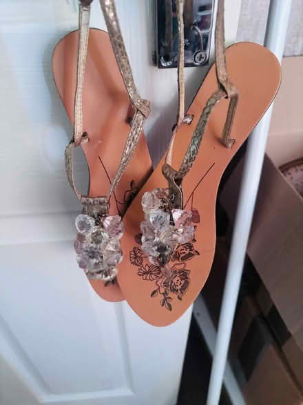 Photo of free Shoes size 5 (Lewisham SE13) #2
