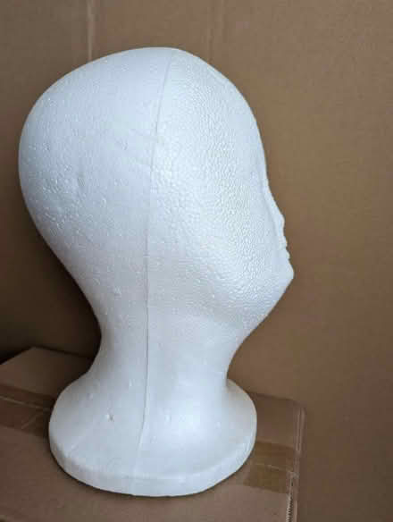 Photo of free Hollow Polystyrene Head (CT13) #2