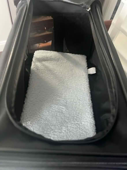 Photo of free small dog carrier (Tuckahoe, NY) #1