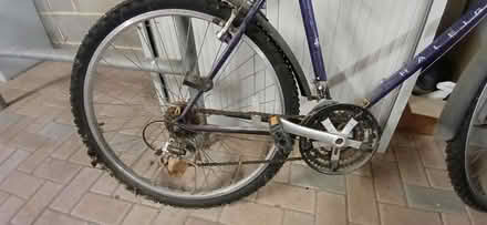 Photo of free Mountain bike (Newbury racecourse. RG14) #3