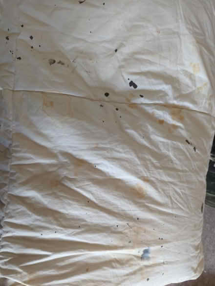 Photo of free IKEA double feather duvet 200x200cm (Strawberry Hill TW11) #1