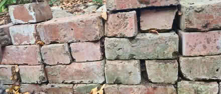 Photo of free Old solid bricks (Thrupp GL5) #2