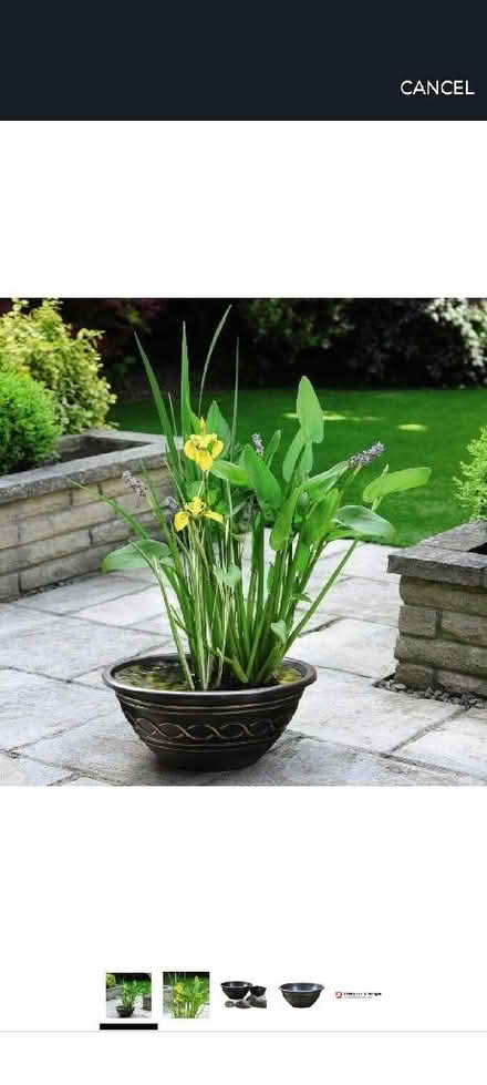 Photo of free Patio pond kit (Rafborough GU14) #1