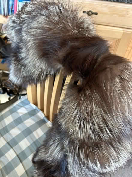 Photo of free Fur cape for theatre, bedding, warmth etc (Bathwick) #1