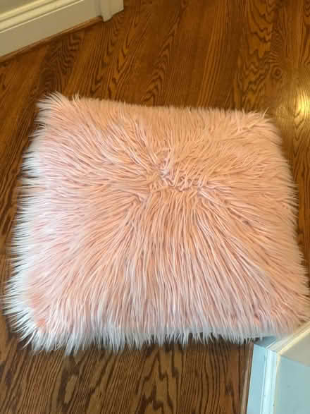 Photo of free Pink pillow seat (Wildwood Bethesda, md) #1