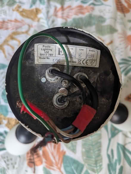Photo of free Ceiling light (Sheffield S12) #2