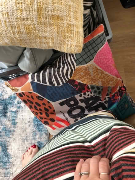 Photo of free Large bag of cushions (Harborne B17) #2