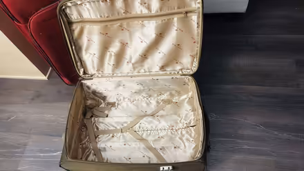 Photo of free 2 checked luggage bags (Seattle downtown) #3