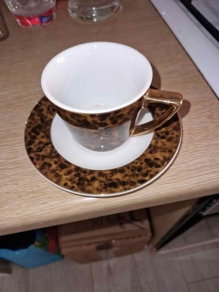 Photo of free 2 Lynx Porcelain (Near Cheltenham Rail Station) #1