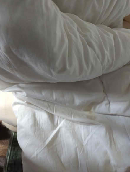 Photo of free Double polyester duvet (Strawberry Hill TW11) #2