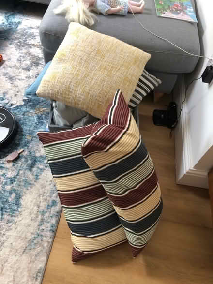 Photo of free Large bag of cushions (Harborne B17) #1