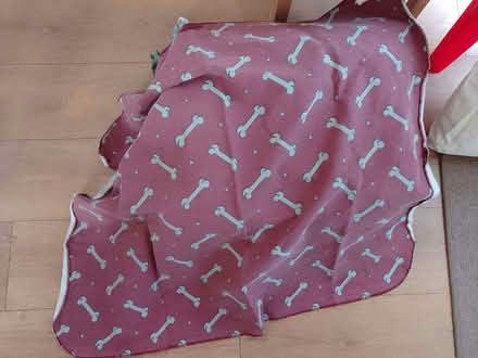 Photo of free Dog basket blanket (spaldwick PE28) #1