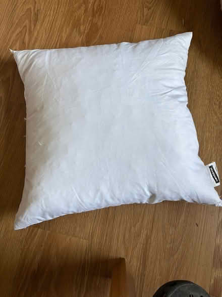 Photo of free Six feather cushion pads (Royston.) #1