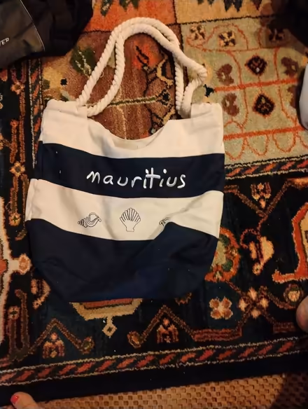 Photo of free Beach bag (Acton) #1