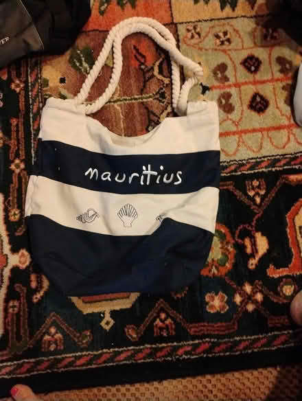 Photo of free Beach bag (Acton) #1