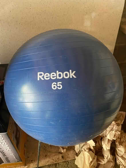 Photo of free Reebok 65cm Gym Ball (Primrose Hill) #1