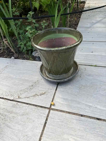 Photo of free Ceramic garden pot (SS12 Wickford) #1