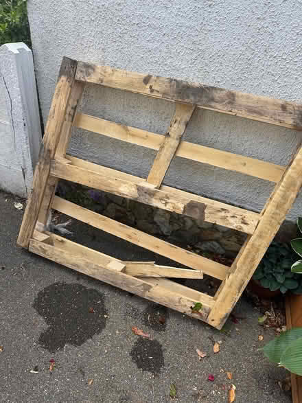 Photo of free Palette (BH9 Moordown) #1
