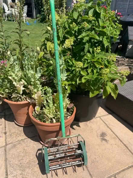 Photo of free Grass spike ,fair condition (Welling DA16) #1